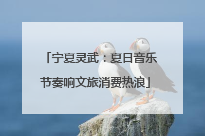 宁夏灵武：夏日音乐节奏响文旅消费热浪