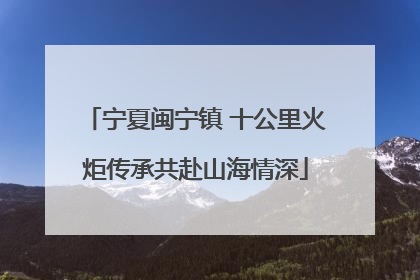 宁夏闽宁镇 十公里火炬传承共赴山海情深