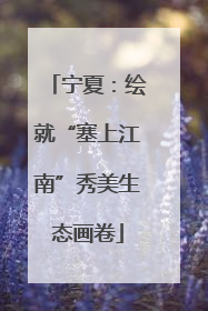 宁夏：绘就“塞上江南”秀美生态画卷