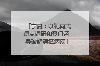 宁夏：以靶向式蹲点调研和登门督导破解顽瘴痼疾