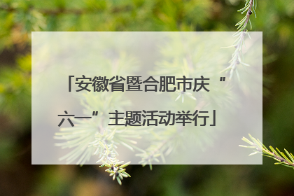 安徽省暨合肥市庆“六一”主题活动举行