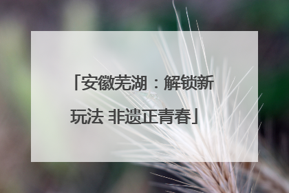安徽芜湖：解锁新玩法 非遗正青春