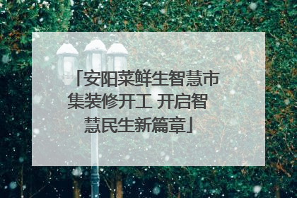 安阳菜鲜生智慧市集装修开工 开启智慧民生新篇章