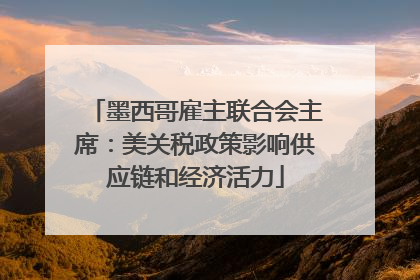 墨西哥雇主联合会主席：美关税政策影响供应链和经济活力