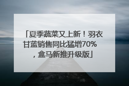 夏季蔬菜又上新！羽衣甘蓝销售同比猛增70%，盒马新推升级版
