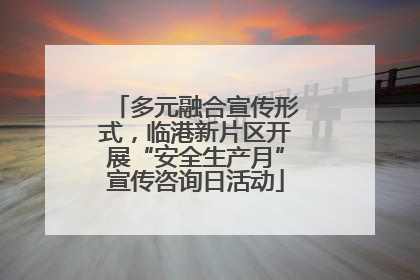 多元融合宣传形式，临港新片区开展“安全生产月”宣传咨询日活动