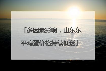 多因素影响，山东东平鸡蛋价格持续低迷