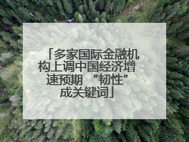 多家国际金融机构上调中国经济增速预期 “韧性”成关键词