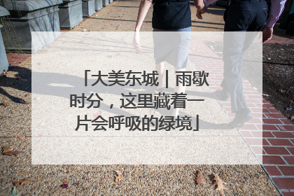 大美东城｜雨歇时分，这里藏着一片会呼吸的绿境