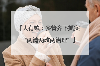 大有镇：多管齐下抓实“两清两改两治理”