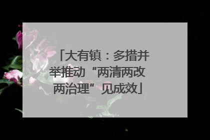 大有镇：多措并举推动“两清两改两治理”见成效