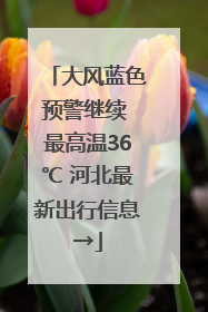 大风蓝色预警继续 最高温36℃ 河北最新出行信息→