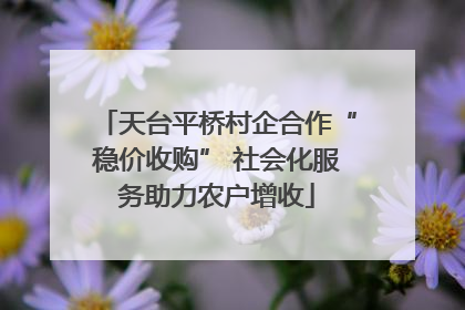 天台平桥村企合作“稳价收购” 社会化服务助力农户增收