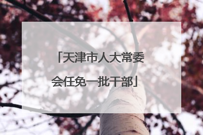 天津市人大常委会任免一批干部