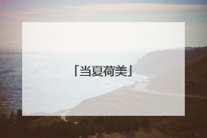 当夏荷美