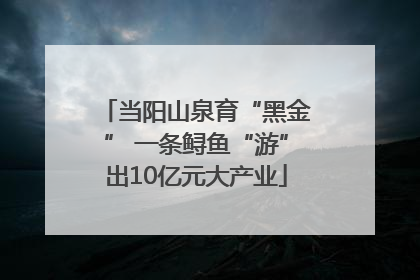 当阳山泉育“黑金” 一条鲟鱼“游”出10亿元大产业