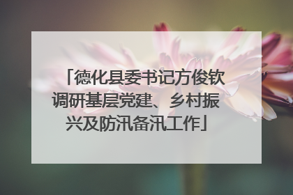 德化县委书记方俊钦调研基层党建、乡村振兴及防汛备汛工作