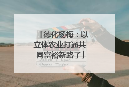 德化杨梅：以立体农业打通共同富裕新路子