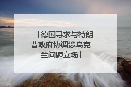 德国寻求与特朗普政府协调涉乌克兰问题立场