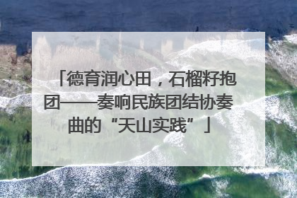德育润心田，石榴籽抱团——奏响民族团结协奏曲的“天山实践”