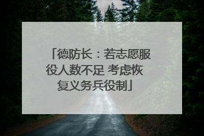 德防长：若志愿服役人数不足 考虑恢复义务兵役制