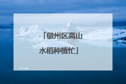 徽州区高山水稻种植忙