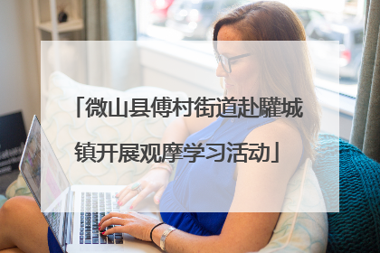 微山县傅村街道赴驩城镇开展观摩学习活动