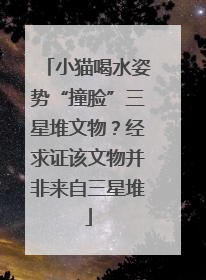 小猫喝水姿势“撞脸”三星堆文物？经求证该文物并非来自三星堆