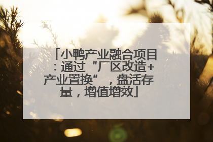 小鸭产业融合项目：通过“厂区改造+产业置换”，盘活存量，增值增效