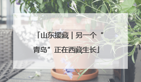山东援藏｜另一个“青岛”正在西藏生长