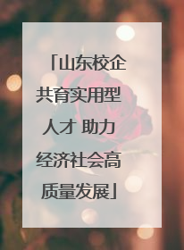 山东校企共育实用型人才 助力经济社会高质量发展