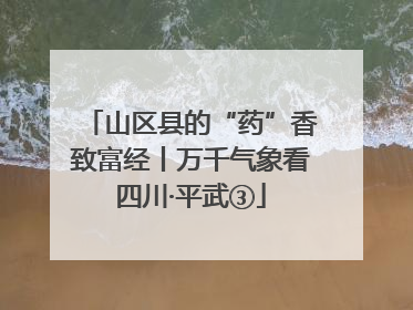 山区县的“药”香致富经丨万千气象看四川·平武③