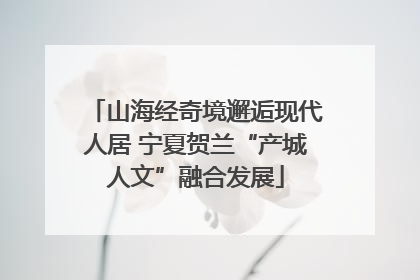 山海经奇境邂逅现代人居 宁夏贺兰“产城人文”融合发展