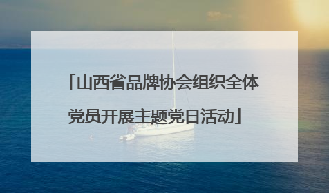 山西省品牌协会组织全体党员开展主题党日活动