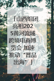 山西组团亮相2025黄河流域跨境电商博览会 加速推动“晋品出海”