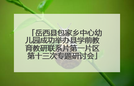 岳西县包家乡中心幼儿园成功举办县学前教育教研联系片第一片区第十三次专题研讨会