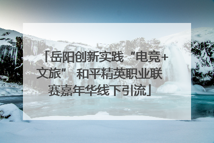 岳阳创新实践“电竞+文旅” 和平精英职业联赛嘉年华线下引流