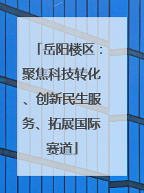 岳阳楼区：聚焦科技转化、创新民生服务、拓展国际赛道