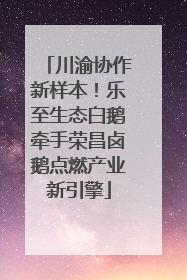 川渝协作新样本！乐至生态白鹅牵手荣昌卤鹅点燃产业新引擎