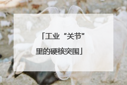 工业“关节”里的硬核突围