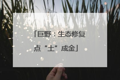 巨野：生态修复点“土”成金
