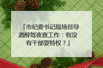 市纪委书记现场督导酒醉驾夜查工作：有没有干部耍特权？