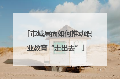 市域层面如何推动职业教育“走出去”