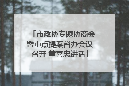 市政协专题协商会暨重点提案督办会议召开 黄喜忠讲话