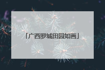 广西罗城田园如画