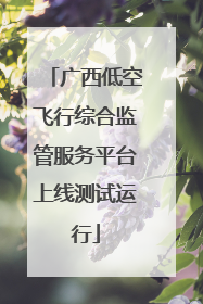 广西低空飞行综合监管服务平台上线测试运行