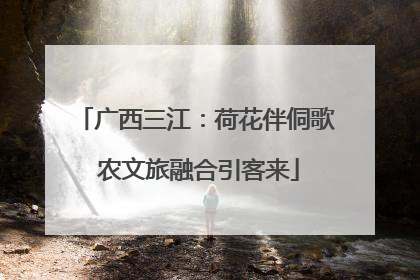 广西三江：荷花伴侗歌 农文旅融合引客来