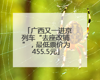 广西又一进京列车“去座改铺”，最低票价为455.5元