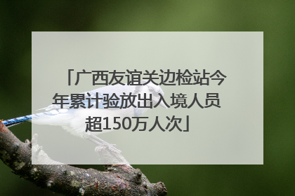 广西友谊关边检站今年累计验放出入境人员超150万人次