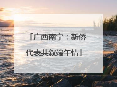 广西南宁：新侨代表共叙端午情